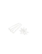 Épices en ligne : sels, poivres, herbes, épices pour plats
