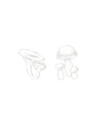 Achat Terrine - Rillette Artisanale
